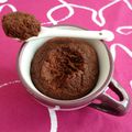 mugcake hyperprotéiné chocolat et noix de coco à seulement 120 kcal (diététique, végétarien, allégé et riche en fibres) 