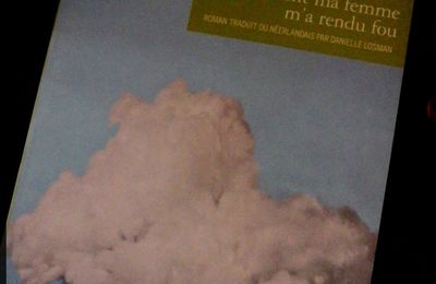Comment ma femme m'a rendu fou -Dimitri Verhulst