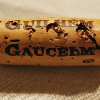 Ermitage de Pic St Loup, cuvée Guilhem Gaucelm 