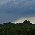 Vignoble de Saint-Emilion avant l'orage