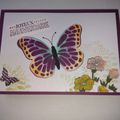 Cartes "Simplement papillon"