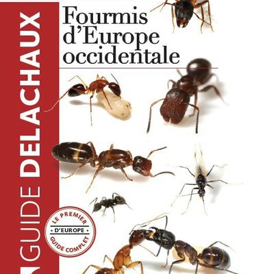 guide  des Fourmis d'Europe