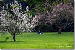 Les photos du printemps...