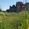 En guise de "Flowers of Scotland", des fleurs de Bressuire...