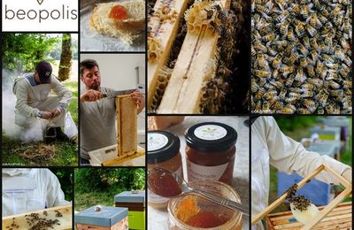 Le miel de Beopolis