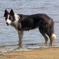 C'est fou ce que je peux aimer l'eau moi !