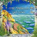 OZRIC TENTACLES "Erpland"