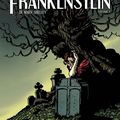 Frankenstein v1, Mary Shelley et Marion Mousse