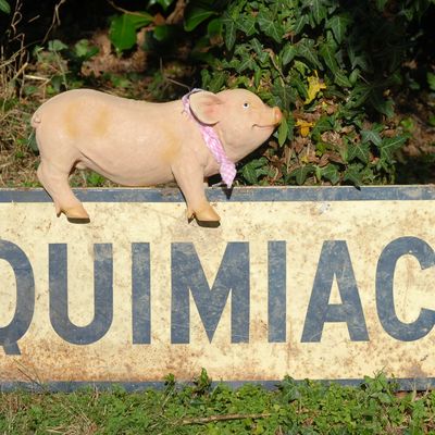 Quatrième paquinette 