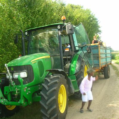 4ème journée à la ferme!