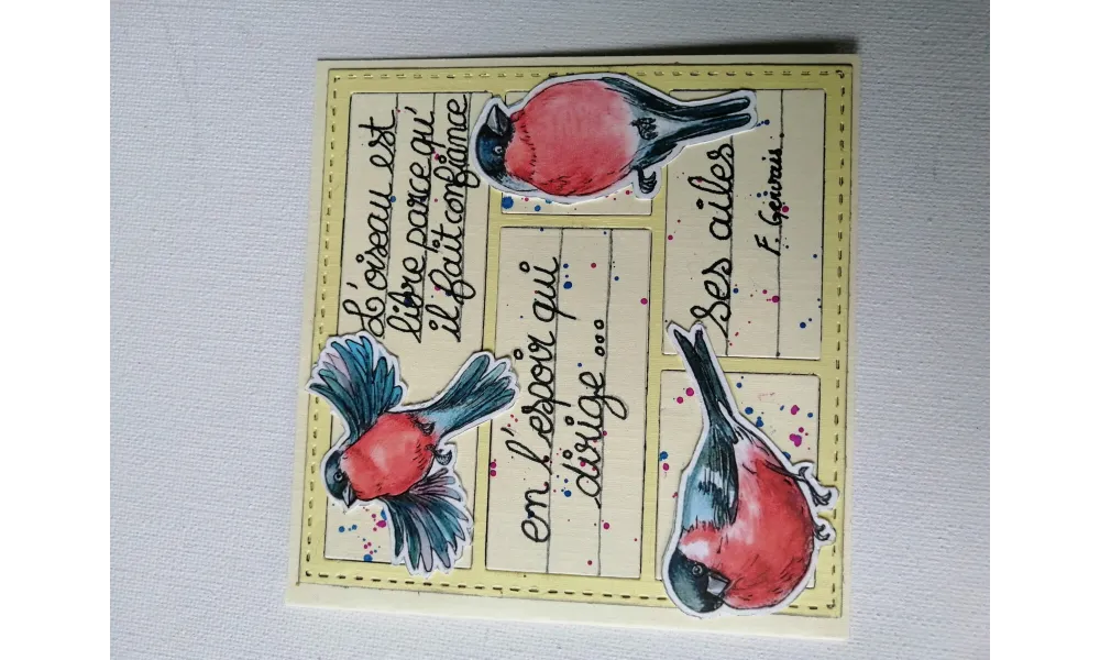 cartes de voeux