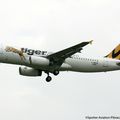 Aéroport: Toulouse-Blagnac: Tiger Airways: Airbus A320-232: F-WWDQ: MSN:5596.