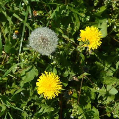 entre soleil et nuages