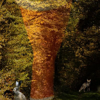 Je vous salue avec un beau plâtre orangé au pied droit 😅