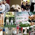 Mode & Conseils, vos animaux de compagnie à votre mariage