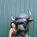 une petite pose avec un bison en souvenir c'est