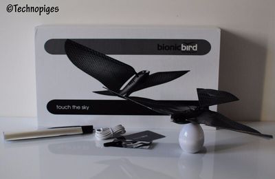 Test du drone Bionic bird, le premier engin ressemblant vraiment à un oiseau
