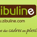 Challenge d'Octobre 2008 - Zibuline