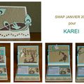 SWAP JANVIER 2013 