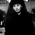 SOPHIA LOREN,UNE CARRIERE CINEMATOGRAPHIQUE INTERNATIONALE EXEMPLAIRE