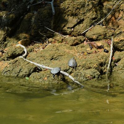 Decouverte de Hong Kong - Fevrier 2013