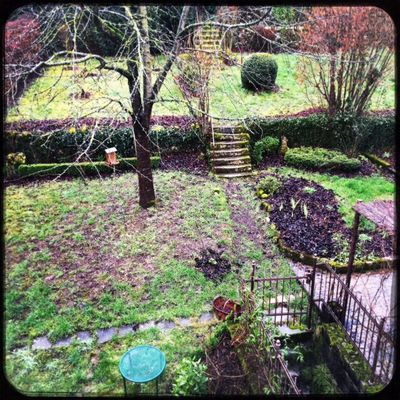 Mésanges charbonnières et pinces hirondelles