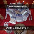 CALEBASSE MAGIQUE, TEL:+229 538 274 99