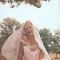 Mai 1957 Marilyn sous un arbre par Sam Shaw