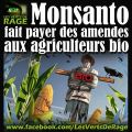USA : Monsanto fait payer des amendes aux agriculteurs bio