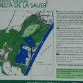 Le Delta de la Sauer été