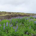 Mon voyage en Islande