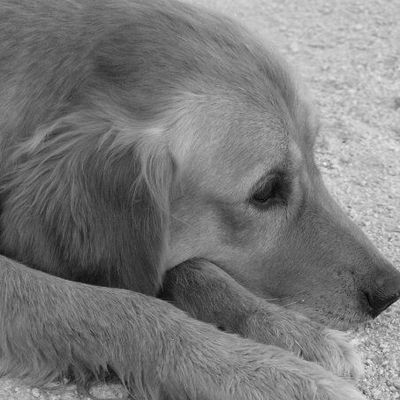 chuuuuuuuuut! je pense...