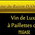 Lasagnes végétariennes et concours "ZAPETTI sauces"