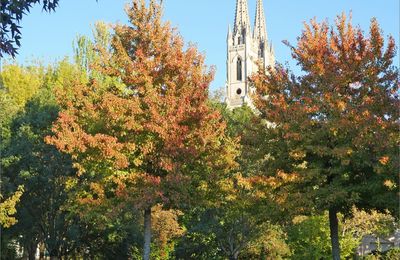 Automne urbain