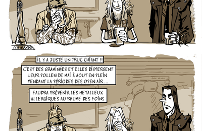 rhume des foin et festival