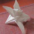 Un Iris en origami 