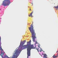 Peace for Paris :'(