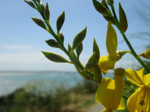Pèlerinage à la Pointe de la Varde à Saint-Malo le 28 mai 2025 (1)