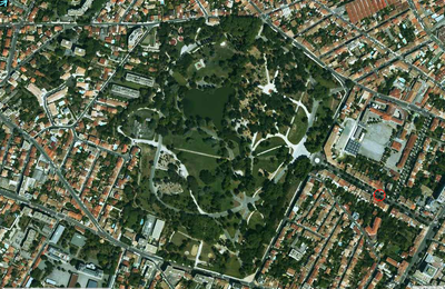 Sur les pas de ma jeunesse au Parc Bordelais