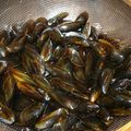 MOULES A LA CREME