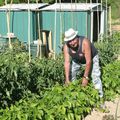 Aux jardins de la planche, Louis Lopez conseille les débutants