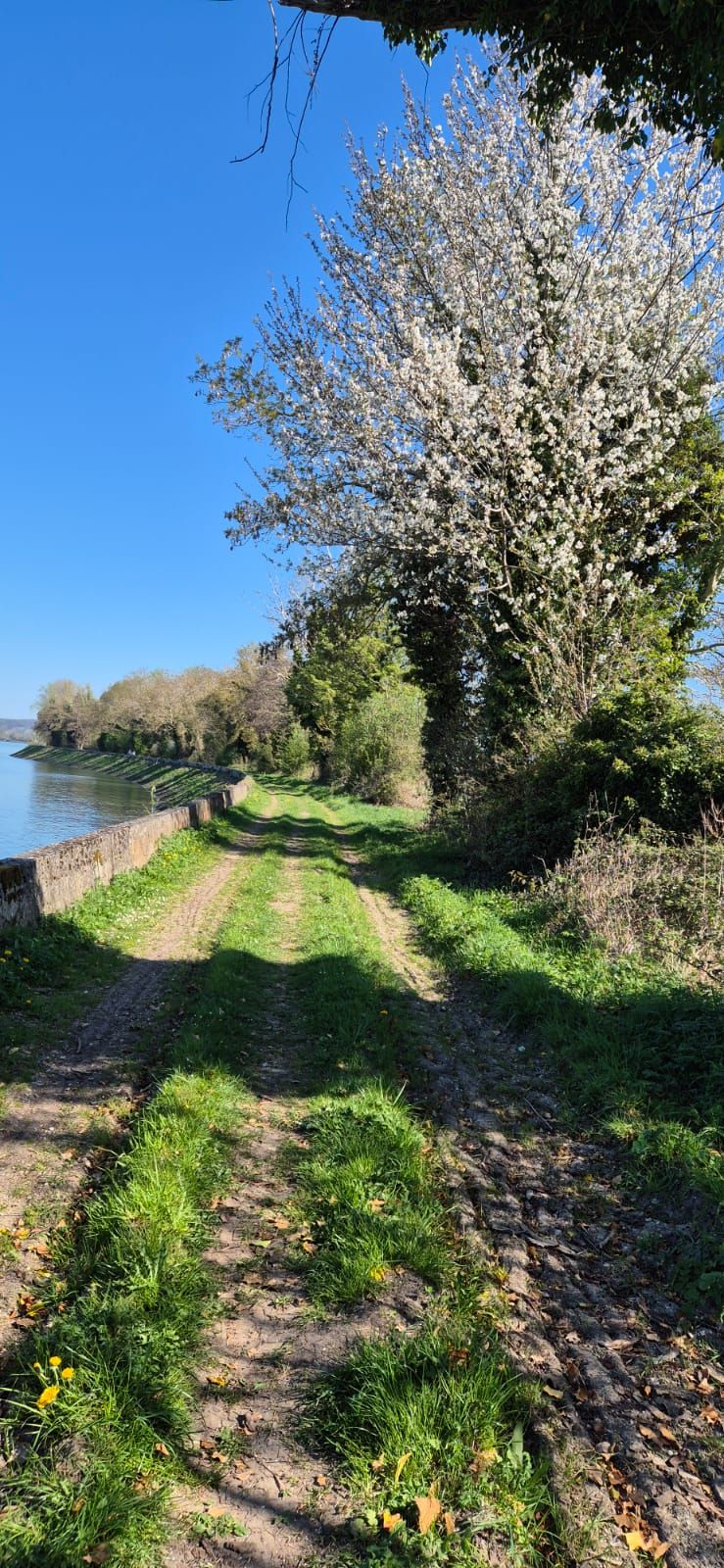 12. 2025. Saint Martin de Boscherville dimanche 6 avril - Copie
