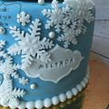 Gateau Reine des Neiges