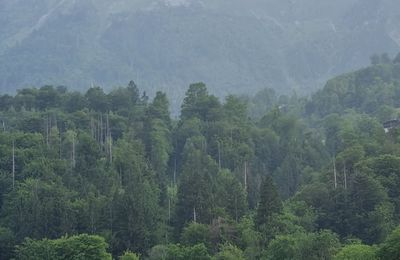 3 millions d'hectares incendiés au Canada, les fumées sur l'Europe — 3 million hectares burned in Canada, smoke over Europe