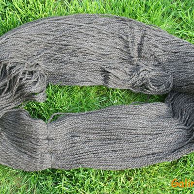 Petites chouettes, c’est à votre tour !