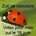 Zut zut vous avez dit ZUT ??