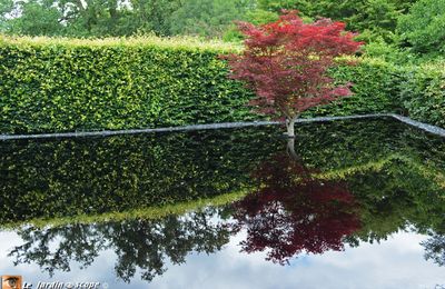 Les pensées animent les jardins du festival à Chaumont-sur-Loire