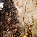 Collection de sapins 2024