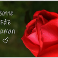 ❤️ ❤️ ❤️ Bonne fête des mamans ❤️ ❤️ ❤️