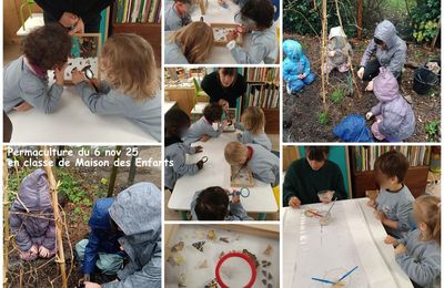 atelier permaculture 6 nov 2025 pour la classe de Maison des Enfants